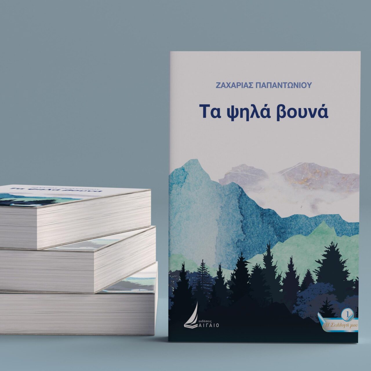 graphic design of a book cover